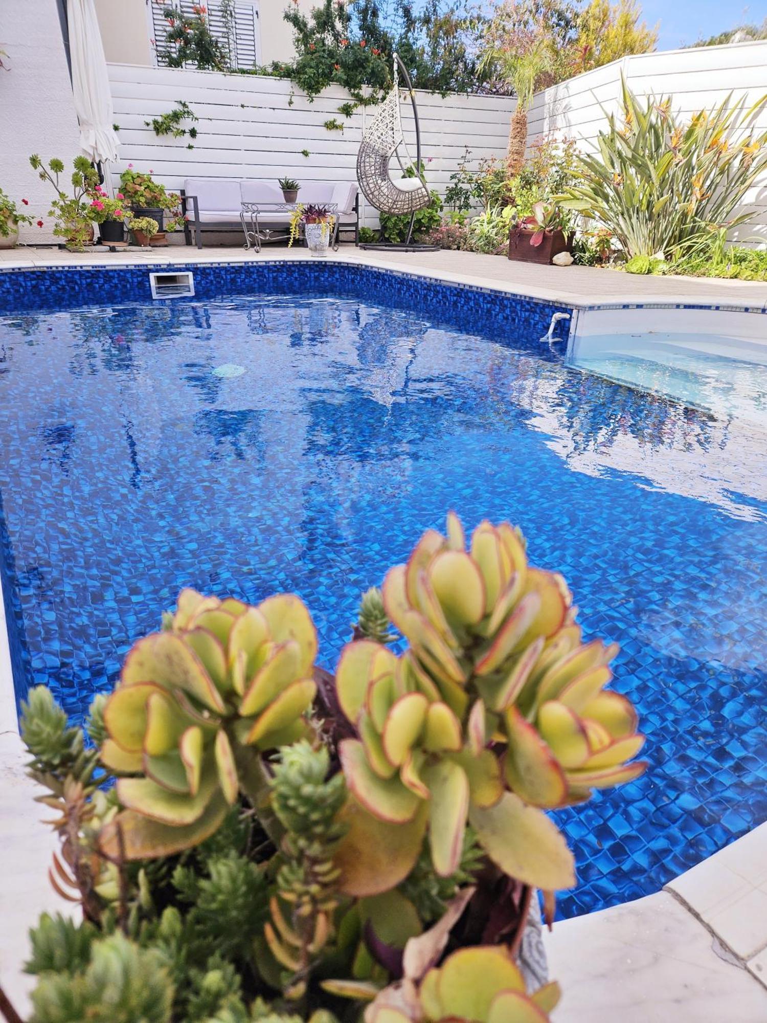 Villa Olivia Paphos